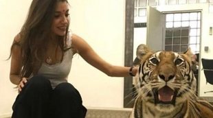 La broma a Ana Guerra con una tigresa enjaulada despierta críticas a TVE: "Me parece un despropósito"