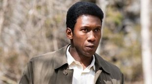 Todos los estrenos de HBO España en enero de 2019