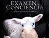 'Examen de conciencia': La confesión más vergonzosa sobre la Iglesia Católica española en Netflix