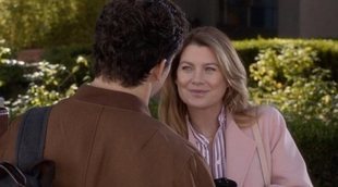 'Anatomía de Grey' aprovecha la reposición de 'The Big Bang Theory' para liderar, aunque continúa cayendo