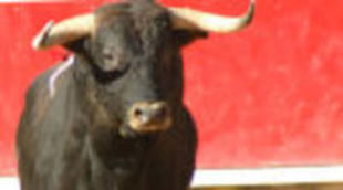 Premian a Canal Sur por la retransmisión de corridas de toros