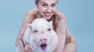 Muere la cerda de Miley Cyrus: "Te echaré de menos siempre"