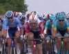 'Los Simpson' destaca, pero el Tour de Francia se hace con el control del día