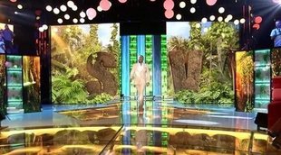 'Supervivientes 2019' programa un debate final para el próximo domingo 21 de julio