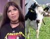 La surrealista confesión de Chabelita Pantoja que se hace viral: ve a una vaca blanca y negra por primera vez