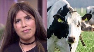 La surrealista confesión de Chabelita Pantoja que se hace viral: ve a una vaca blanca y negra por primera vez