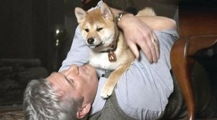 Antena 3 lidera con "Siempre a tu lado: Hachiko" (9,7%) y el efecto "La llamada" no pasa del 7,2% en La 1