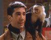 Katie, el mono Marcel de 'Friends', vuelve a la televisión para protagonizar 'Y: The Last Man'