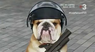 La Fiscalía investiga a TV3 por un gag de 'Està passant!' en el que llaman "perros" a los Mossos