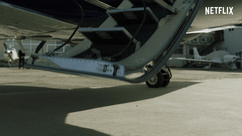 ¿Polonia es la nueva integrante de #LaCasaDePapel? @Najwa_Nimri