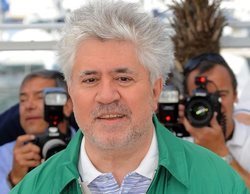 Pedro Almodóvar producirá la serie 'Mentiras pasajeras' para Viacom