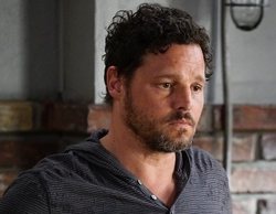 Así ha sido el regreso de Alex Karev a 'Anatomía de Grey' tras la marcha de Justin Chambers