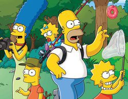 'Los Simpson' y 'Hawaii 5.0' destacan en FOX y 'Big Bang' en TNT