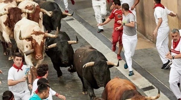 La 1 se lleva la mañana gracias al buen dato de 'Vive San Fermín' (49,5%)