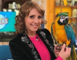 La 1 gana la partida por la mañana con espacios como '+Cotas' y 'Comando actualidad'