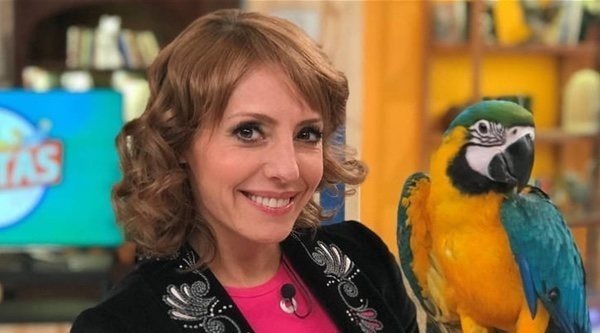 La 1 gana la partida por la mañana con espacios como '+Cotas' y 'Comando actualidad'