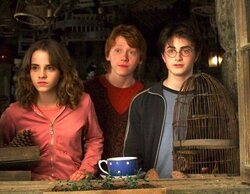 La saga "Harry Potter" da una alegría por partida cuádruple a Canal Hollywood