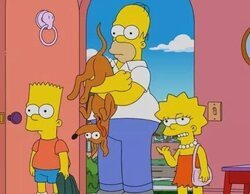 'FBI' y 'Los Simpson' se disputan lo más visto del día