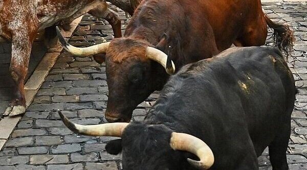 Los encierros de San Fermín arrasan con un 56,6% en su cuarta jornada