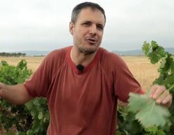 Buen 24,3% para 'El campo es nuestro' de Aragón TV, que es lo segundo más visto