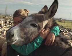 'El campo es nuestro' marca un gran 22,1% en Aragón TV, tan solo por detrás de los informativos