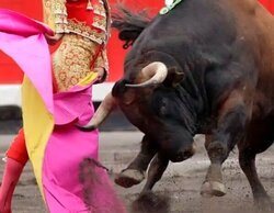 Excelente 24,3% para los toros en la tarde de Canal Sur