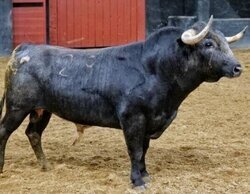 El éxito de los toros de Canal Sur sigue marcando las audiencias autonómicas