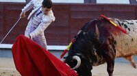 Los toros (11,6%) y la misa (6,4%) marcan la programación de San Isidro en Telemadrid
