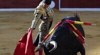 Los toros desde Marbella rozan el 20% de share en Canal Sur