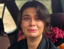 La 1 y Antena 3 se reparten las franjas de otro flojo día de agosto