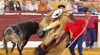 Los toros de candiles desde Marbella superan el 20% de share en el prime time de Canal Sur