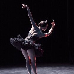 Temporada 1 y el capítulo 04 de 'Estrella'