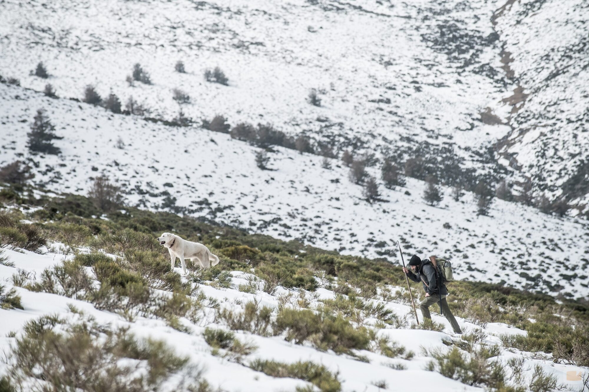 Jesús Carroza en 1x04 titulado 'Supervivencia' de 'Apagón'