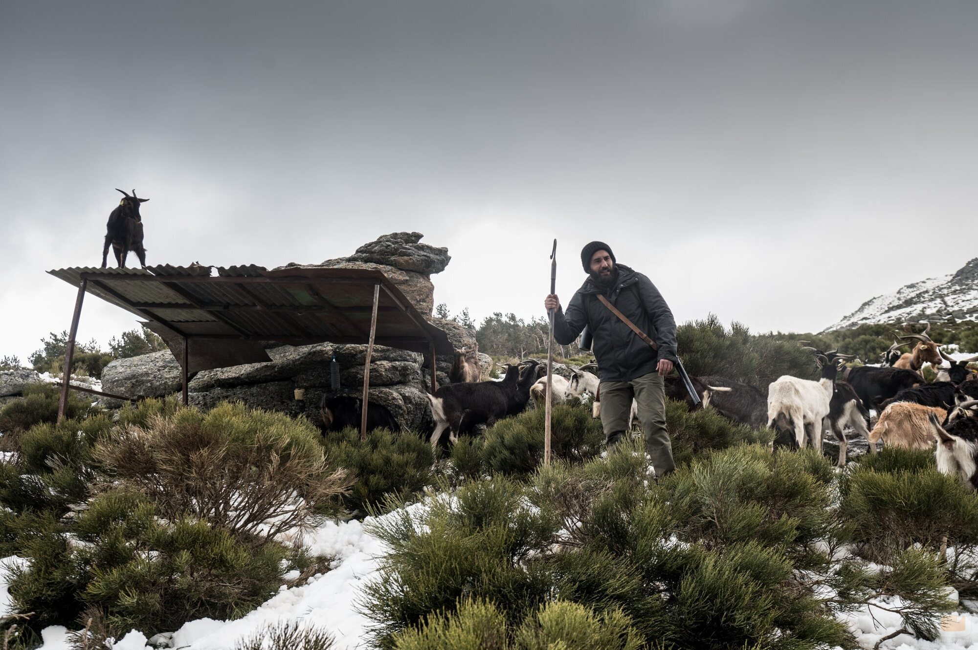 Imagen de Jesús Carroza en el 1x04 de 'Apagón'