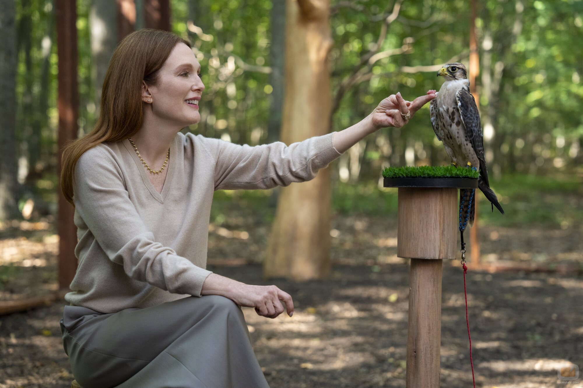 Julianne Moore en Capítulo 4 titulado 'Perséfone' de 'Sirenas'