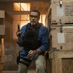 Arnold Schwarzenegger en el 1x05 de 'FUBAR'
