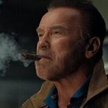 Arnold Schwarzenegger en 2x05 titulado 'Un viaje por el abismo' de 'Fubar'