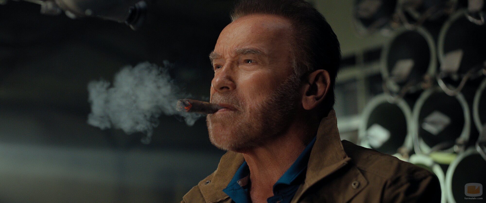 Arnold Schwarzenegger en 2x05 titulado 'Un viaje por el abismo' de 'Fubar'