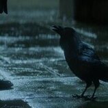 Patton Oswalt en '... Sueña conmigo' de 'The Sandman'