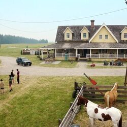 'Empezar de cero' de 'My Life with the Walter Boys'