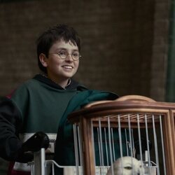 Dominic McLaughlin protagoniza 'Harry Potter y la piedra filosofal'