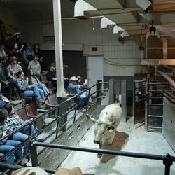 'Santiago 4, 17' de 'Errores épicos'