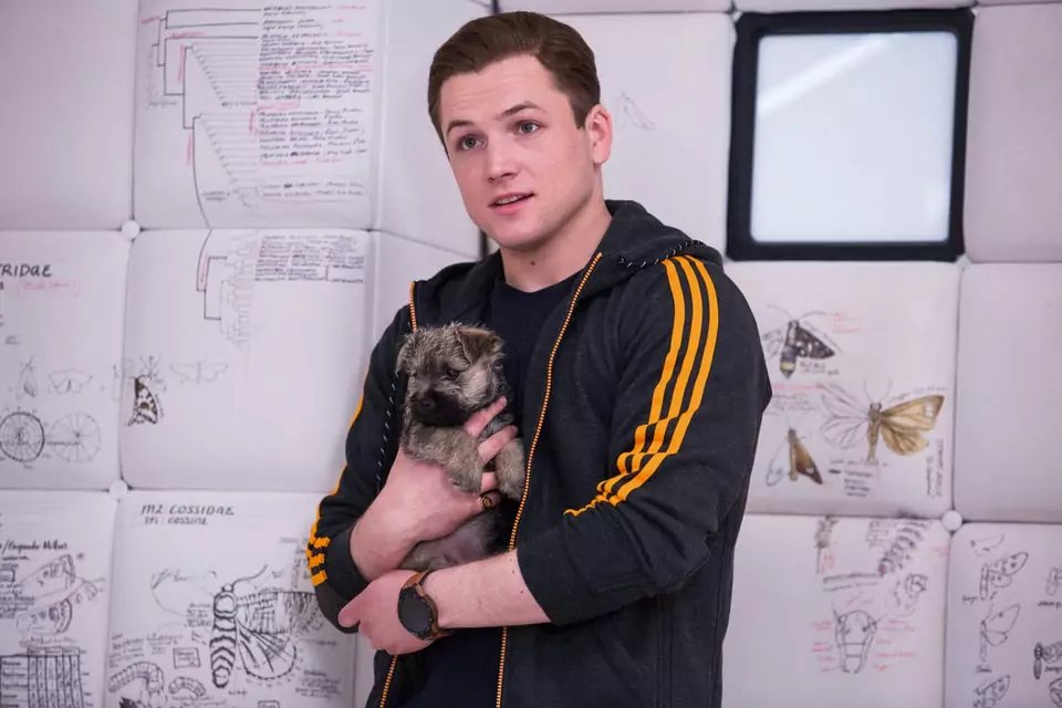 Taron Egerton sostiene a un perrito en brazos en 'Kingsman: El círculo de oro'