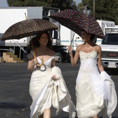 Susan Mayer y Katherine Mayfair, ¿a quién elegirá Mike?