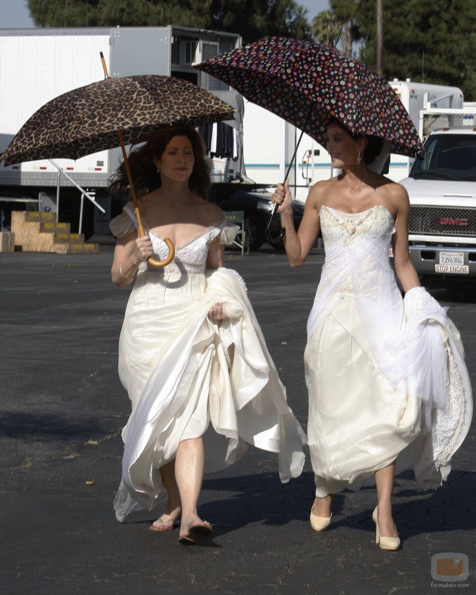 Susan Mayer y Katherine Mayfair, ¿a quién elegirá Mike?