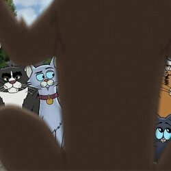 1x06 de 'Gatos callejeros'