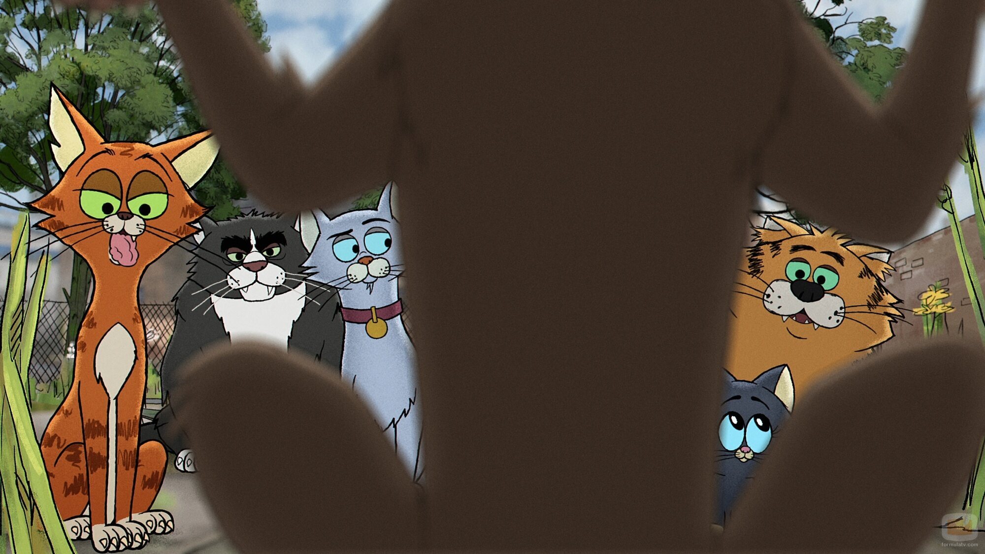 1x06 de 'Gatos callejeros'