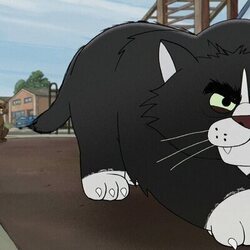 Plano de Capítulo 6 titulado 'Episodio #1.6' de 'Gatos callejeros'