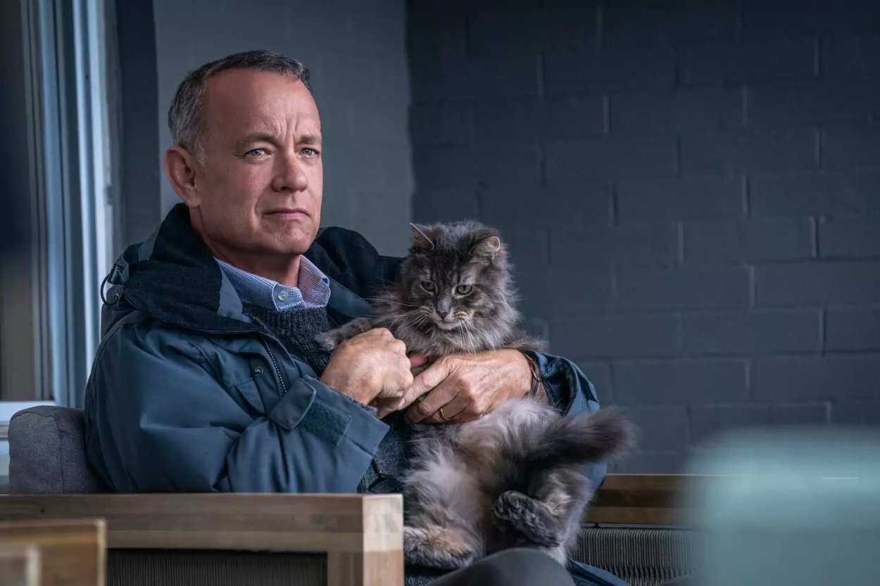 Tom Hanks es "El peor vecino del mundo"