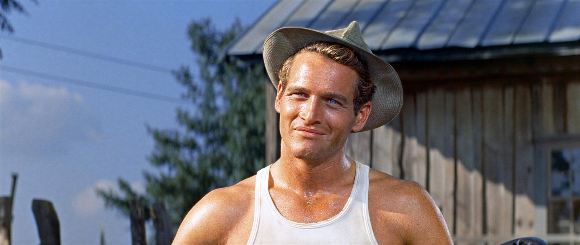 Paul Newman en "El largo y cálido verano"